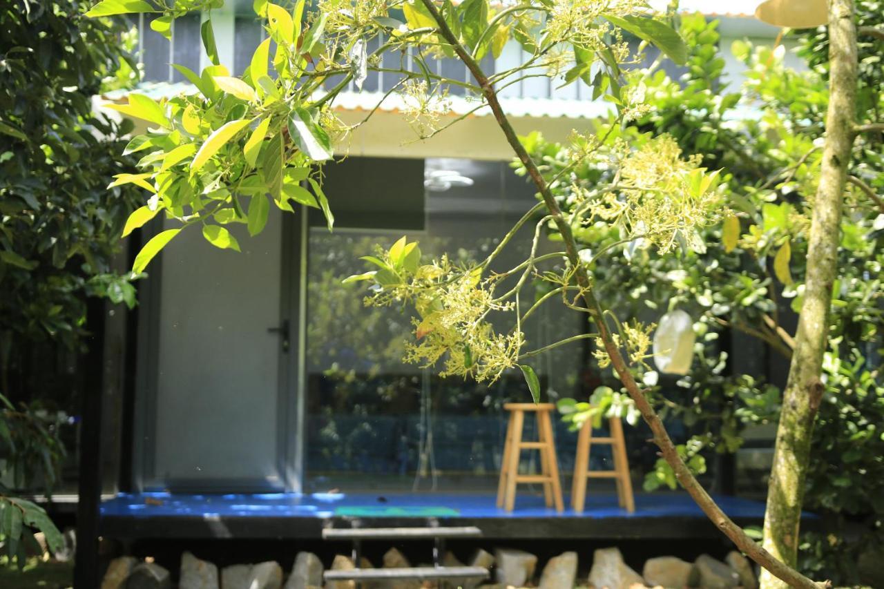 Homestay Vuon Trai Cay Nhiet Doi Vo Uu Garden 바오록 외부 사진
