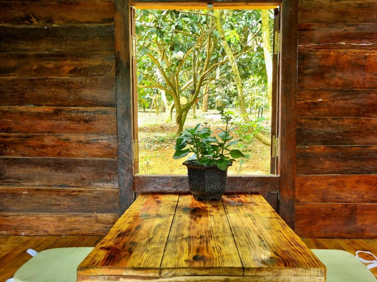Homestay Vuon Trai Cay Nhiet Doi Vo Uu Garden 바오록 외부 사진