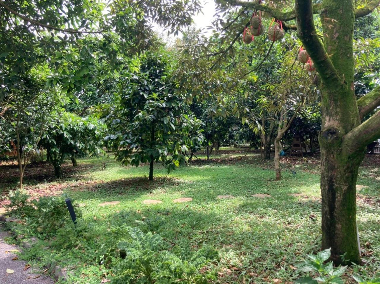 Homestay Vuon Trai Cay Nhiet Doi Vo Uu Garden 바오록 외부 사진