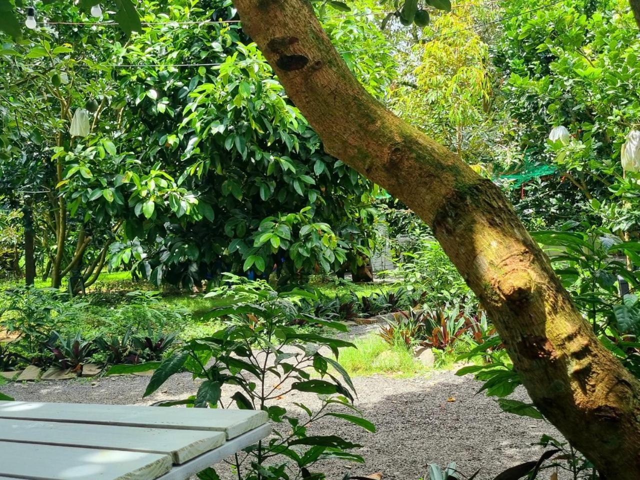 Homestay Vuon Trai Cay Nhiet Doi Vo Uu Garden 바오록 외부 사진