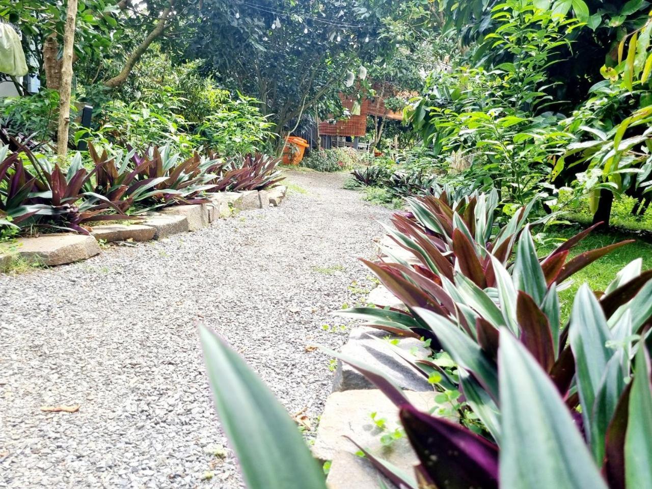 Homestay Vuon Trai Cay Nhiet Doi Vo Uu Garden 바오록 외부 사진